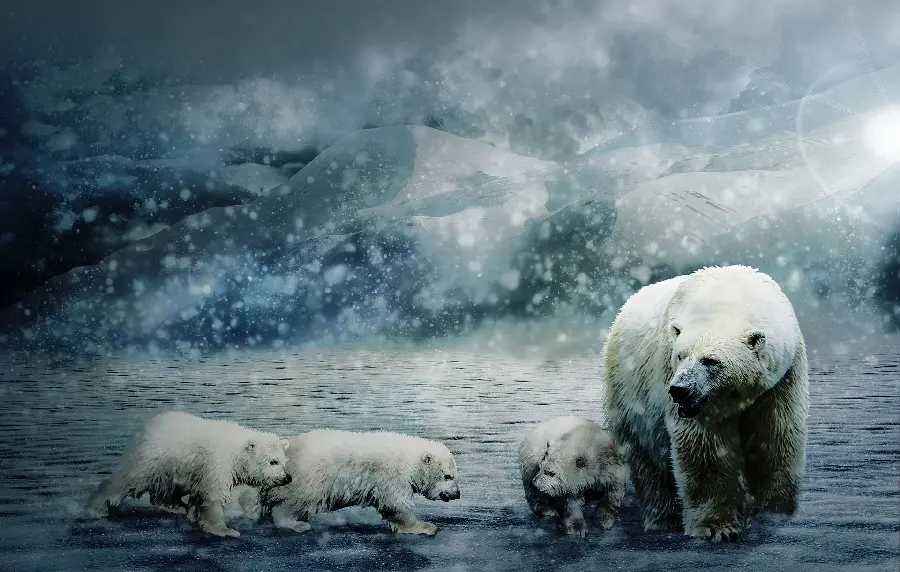 Lovely quality wallpaper of baby polar bears 