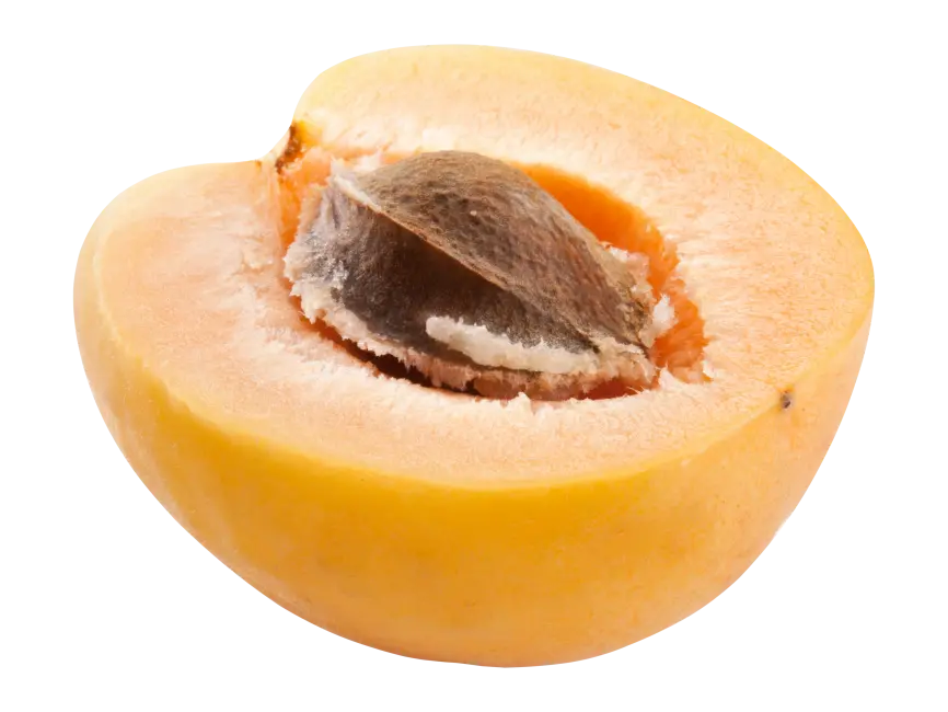 Yellow Plum