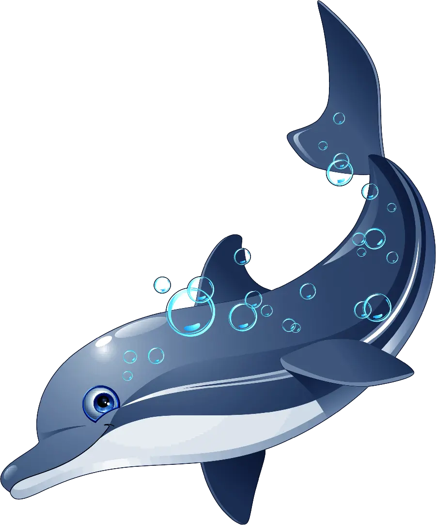 Dolphin