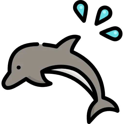 Dolphin PNG image for logo creation