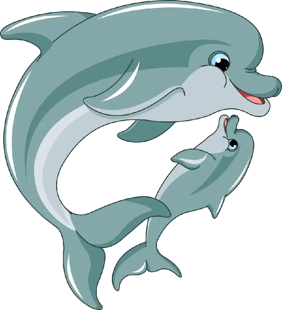 Free Download Dolphin PNG Photo for Design Projects