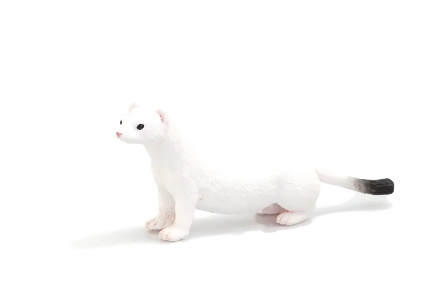 White otter wallpaper on transparent background PNG