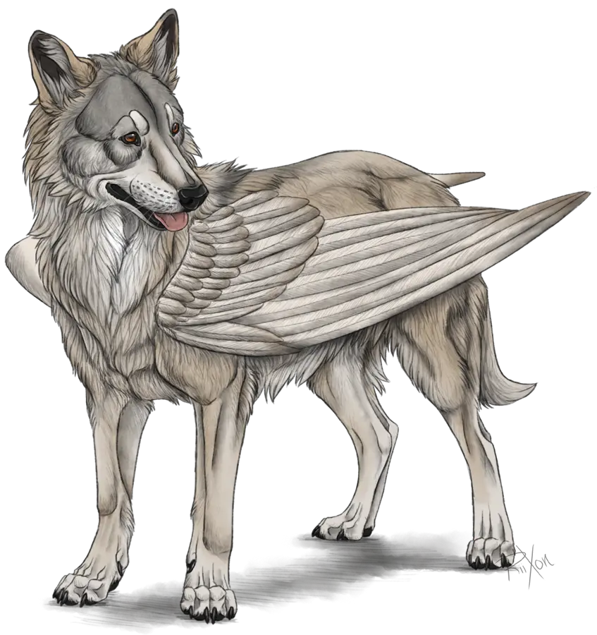 A very interesting and scary image of a winged wolf in png format