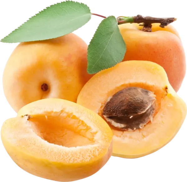 Yellow Plum