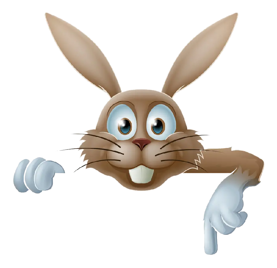Cartoon Rabbit PNG Background