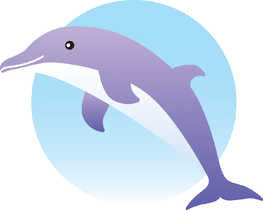 Dolphin PNG images For advertising projects