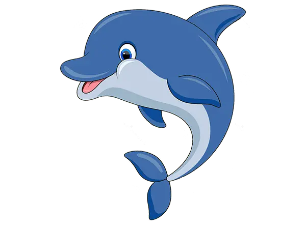 Transparent Dolphin PNG for Printing and Design