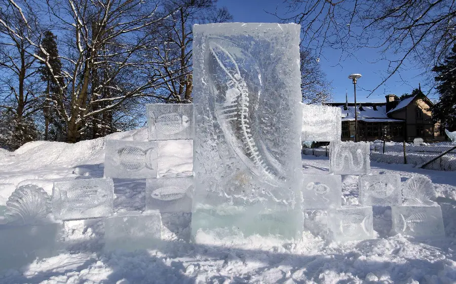 Download Quality Image of Ice Sculptures