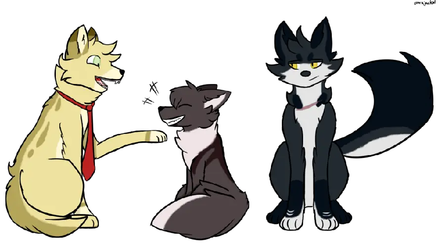 Interesting and Beautiful Anime Jackal Backgrounds PNG
