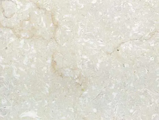 Abarkuh Cotton Flower Marble