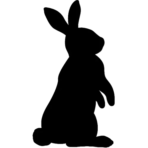 Real Rabbit Shadow Photo in PNG format