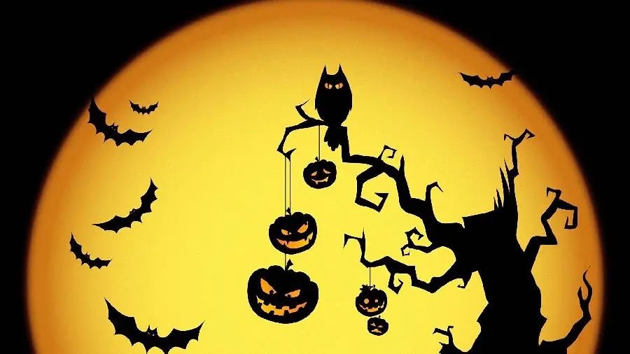 Pumpkins