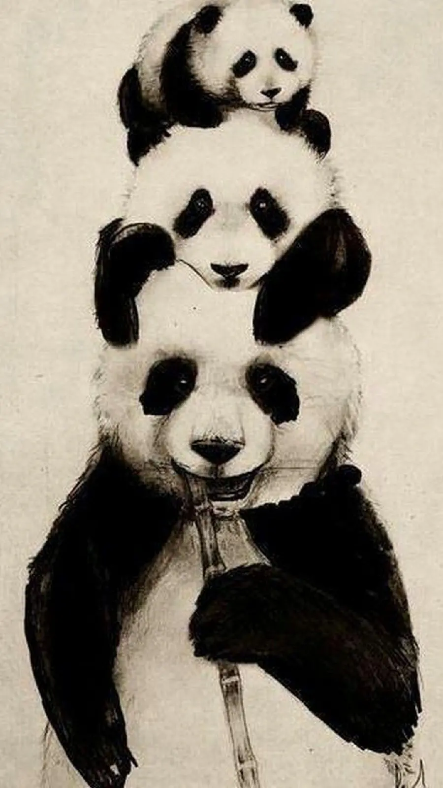 Wallpaper for iPhone with a drawing of a panda family