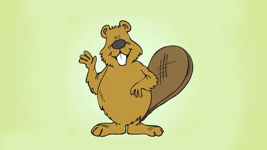 Cartoon profile picture of beaver for social networks 