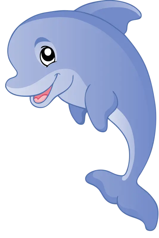 Dolphin Photo Without Background for Catalog Creation