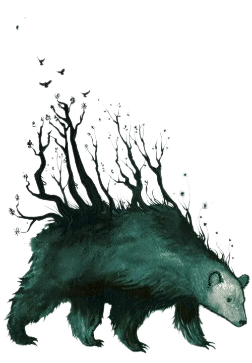 Free download of interesting and special wallpapers of PNG bear paintings