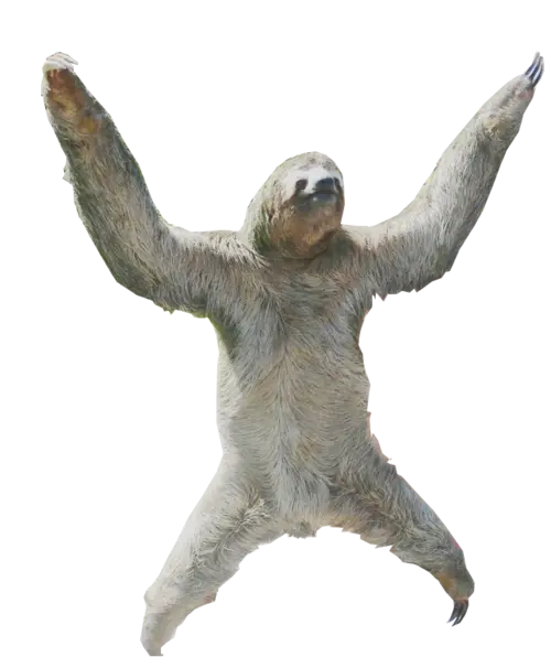 Downloadable wallpaper for sloth PNG lovers