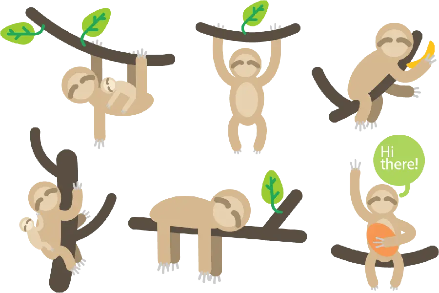 Sloth Wallpaper with Different Shapes in a Frame PNG for Sticker Pack Design