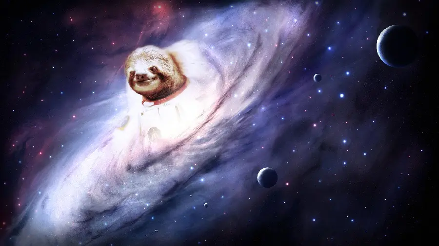 High Quality Free Sloth Stock Photos