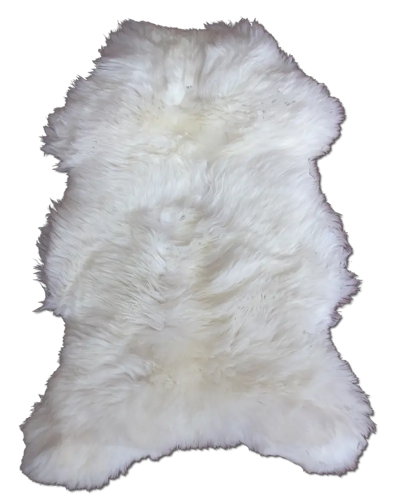 Polar Bear Skin Background for Photoshop PNG