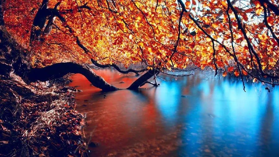 Autumn