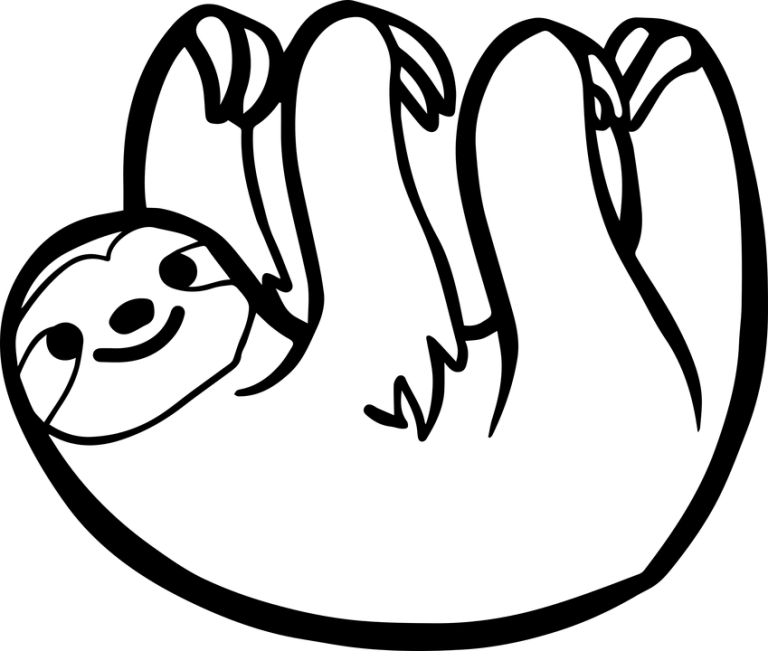 Sloth drawing PNG image for printing in coloring books 