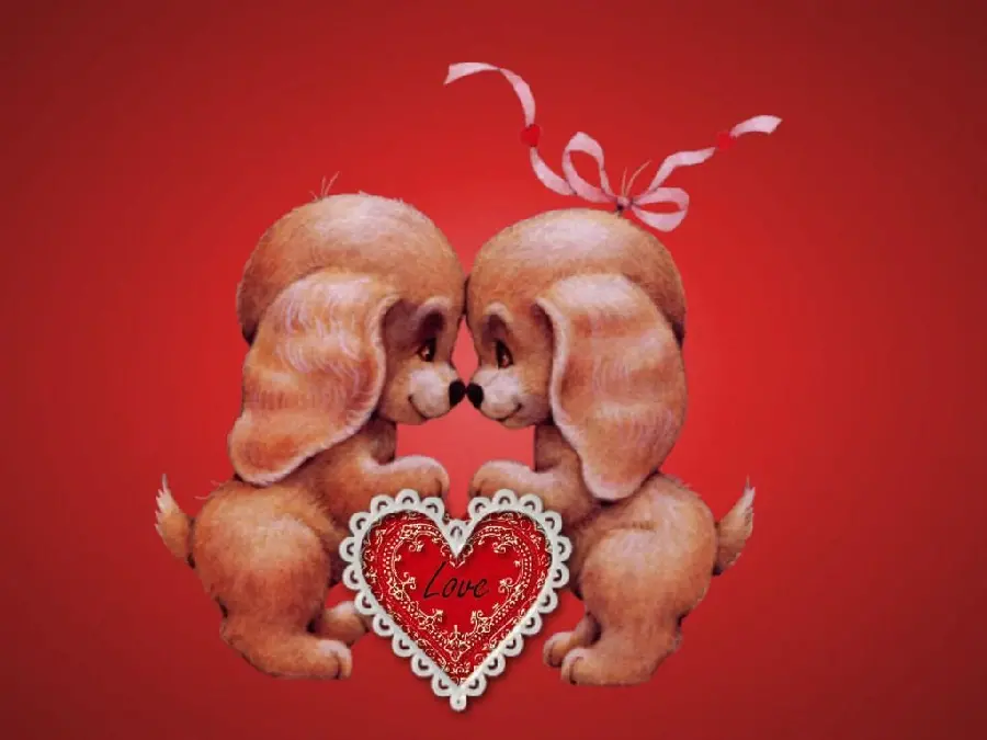 Background image Beautiful dogs in love with a Valentine's theme 