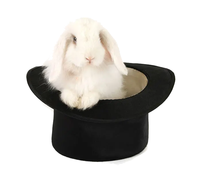 Download White Rabbit Inside a Magic Hat PNG Image