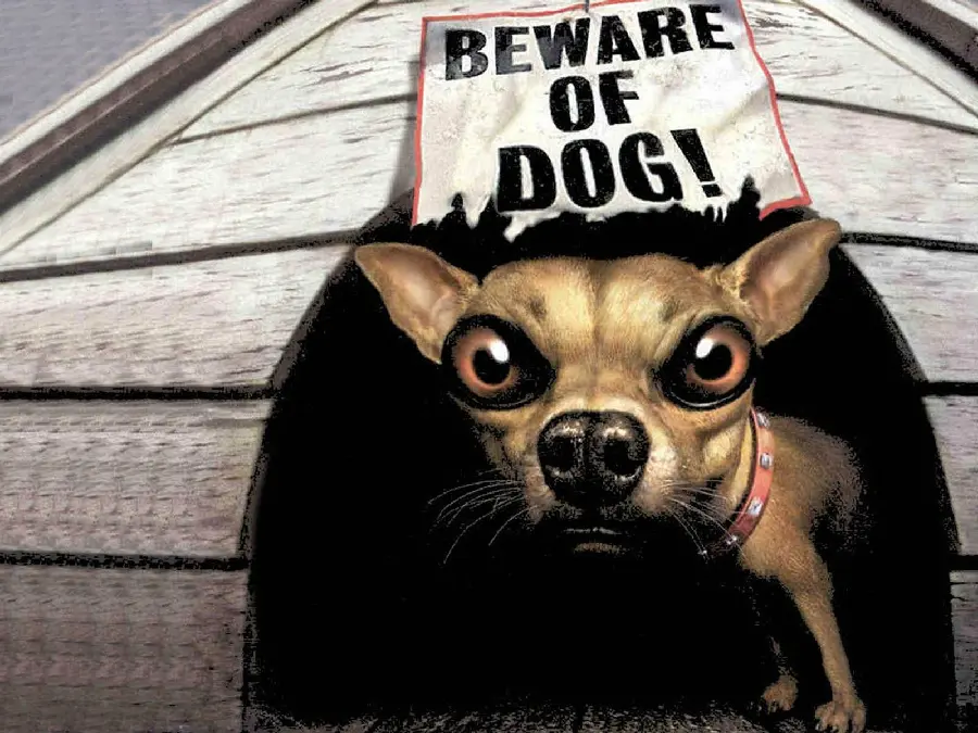 Cartoon Photo of Dog Funny with unique quality