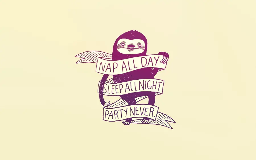 HD Quality Sloth Background on Yellow Background