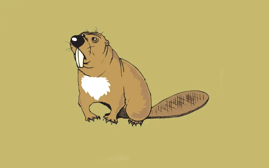 Simple beaver cartoon background photo with direct download link 
