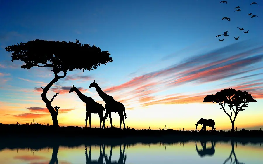 Download photos of the beautiful sky of nature and animals in the wild
