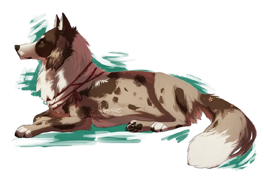 High Quality Stock Photo of Dingo or Australian Wild Dog