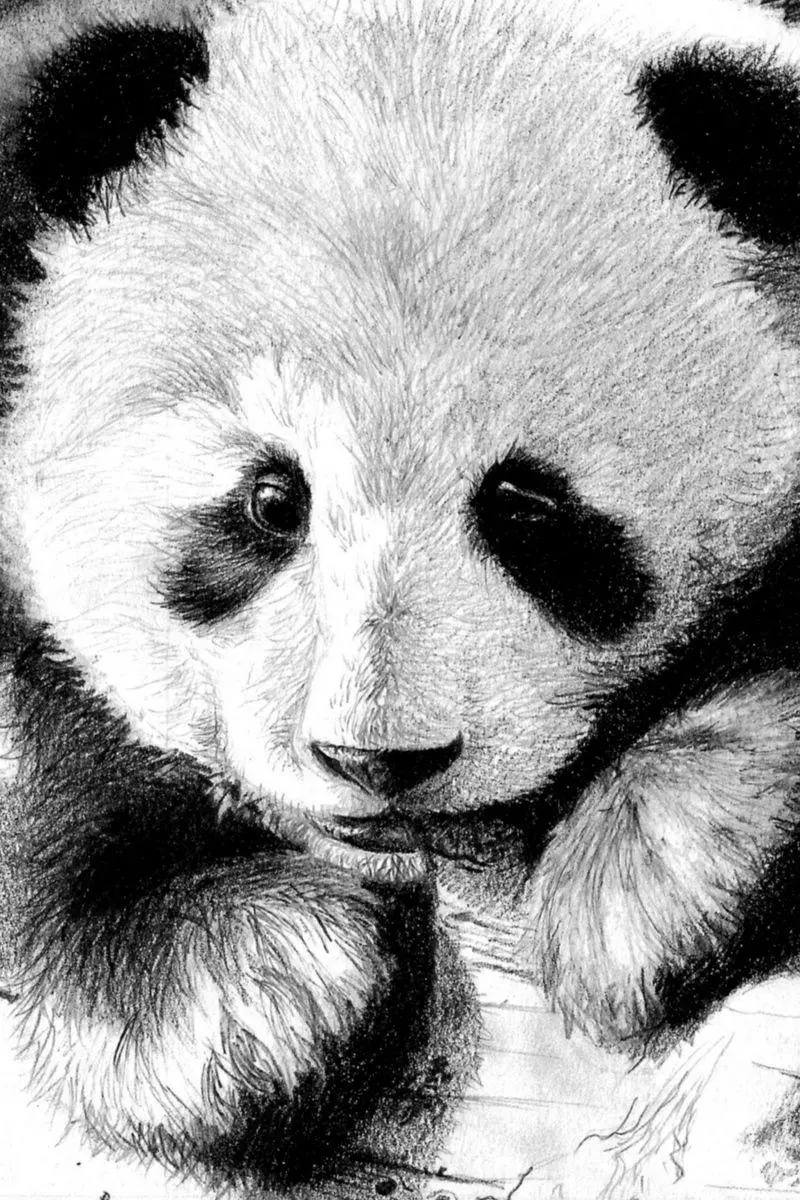 Background for iPhone with a black pen design of pandas
