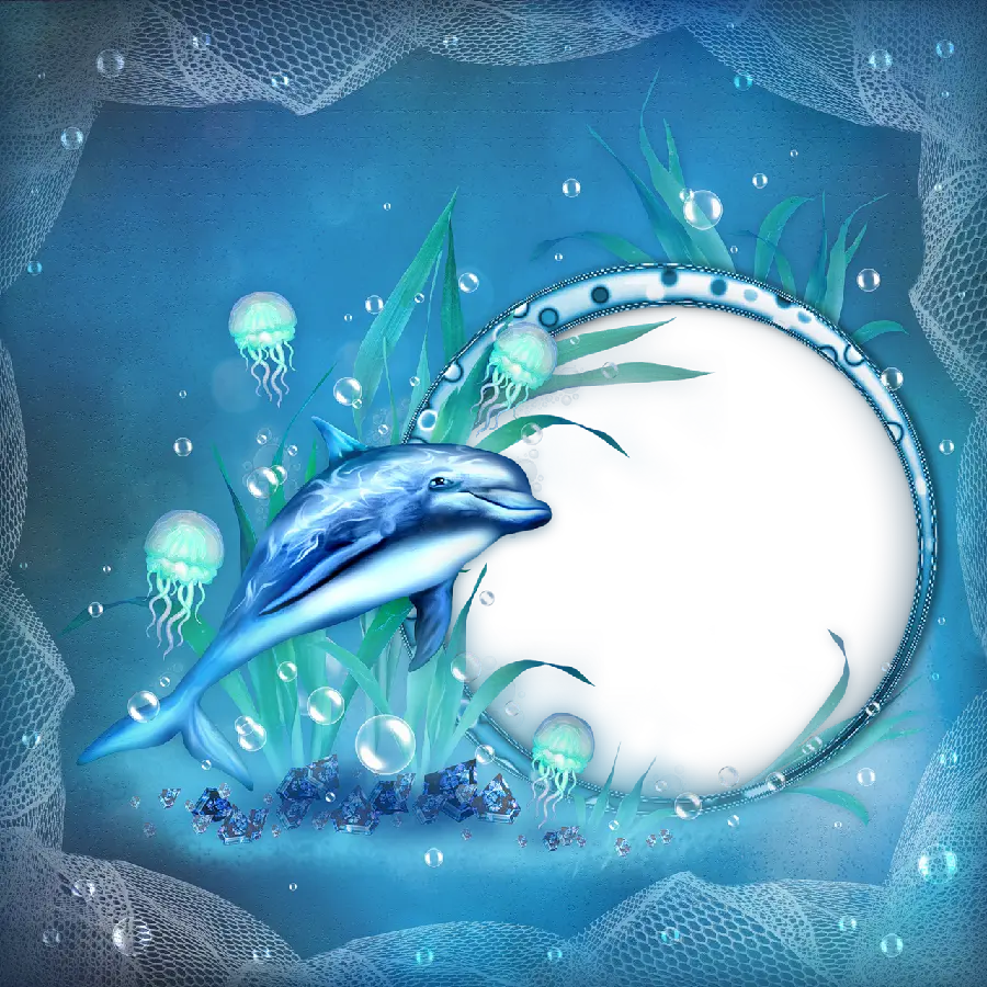 Dolphin Images Without Background