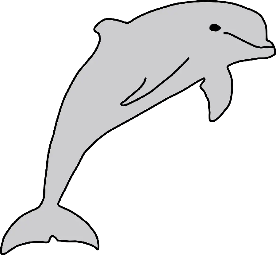 Sea dolphin image without background for printing