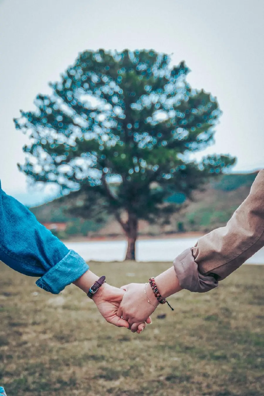 Download beautiful photo of a couple holding hands in nature next to a beautiful tree
