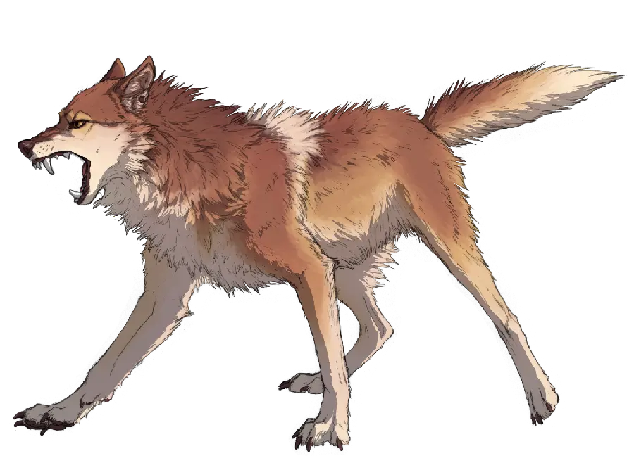 Download Background Photo of Dingo for Digital Pages