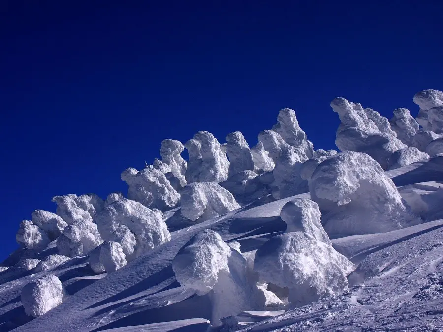 Ice Sculpture