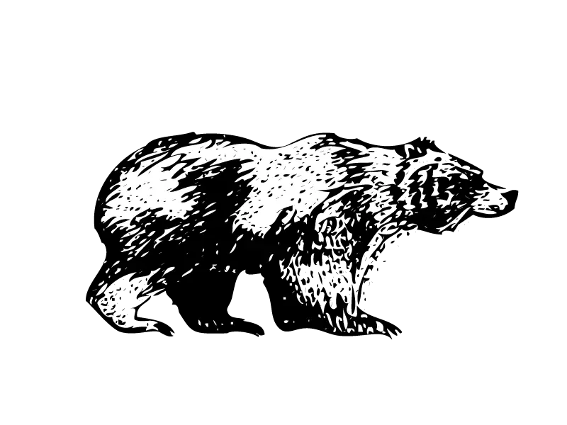 Stock photo of a bear drawing PNG in black and white