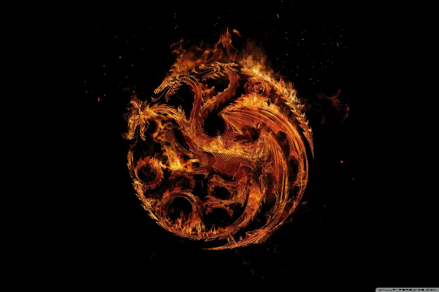 Image of the symbol of the fiery dragons in the series The Dragon Family