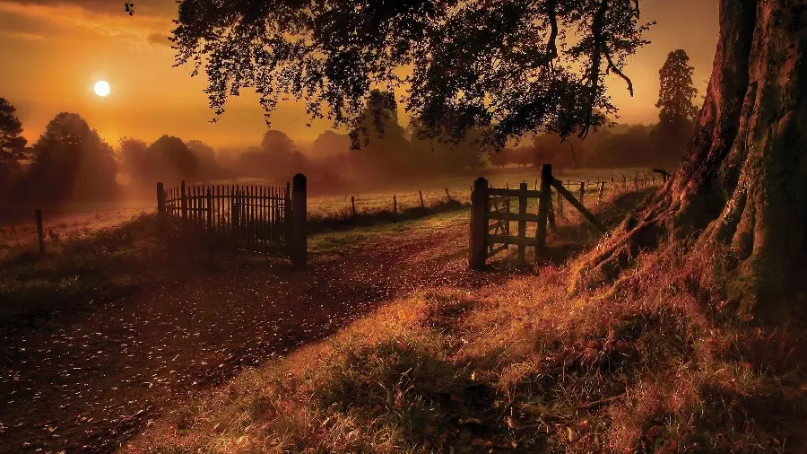 Autumn