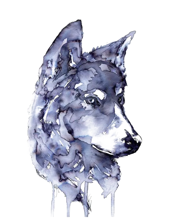 High quality watercolor dog painting for profile