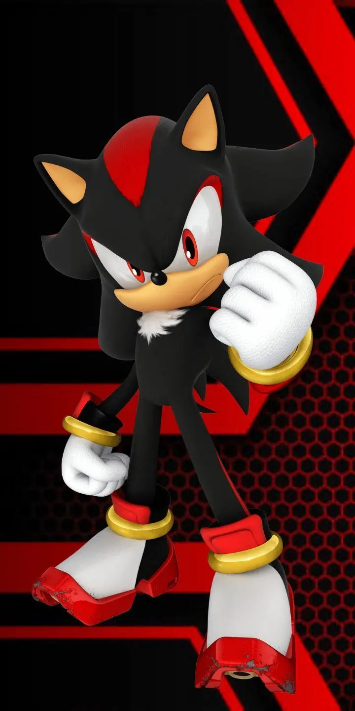 Download Sonic Shadow's photo in black