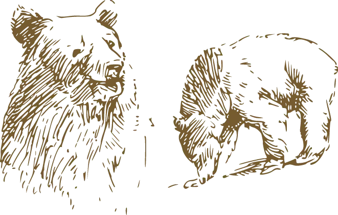 Free Download Bear PNG Drawing Stock Photo for Graphic Designers