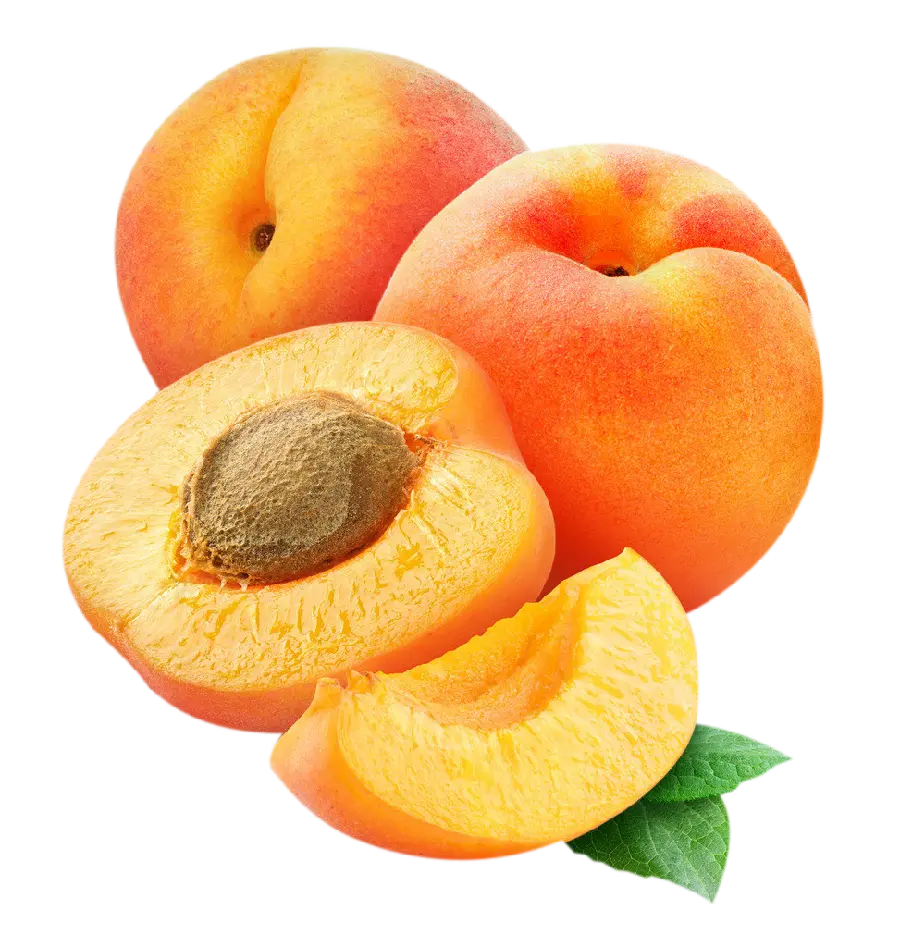 Download images Apricot PNG