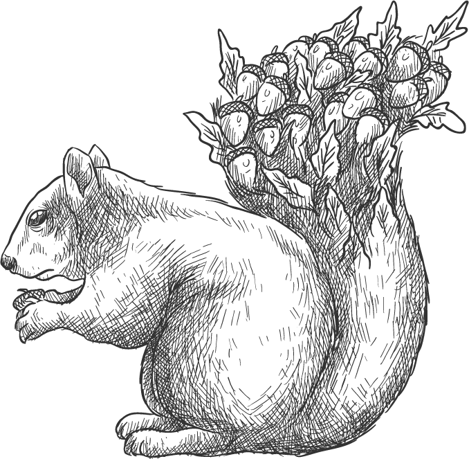 Download a drawing of a little squirrel for easy drawing and animal friends profile