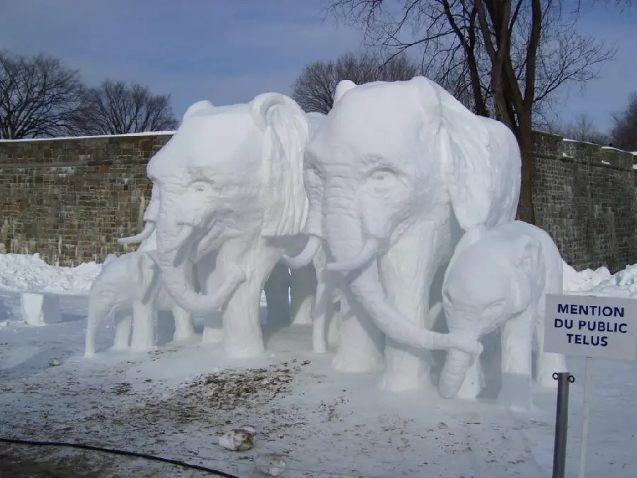 Stunning Ice Sculpture Image