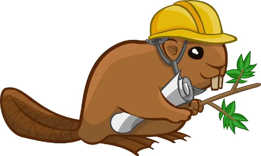 Beaver