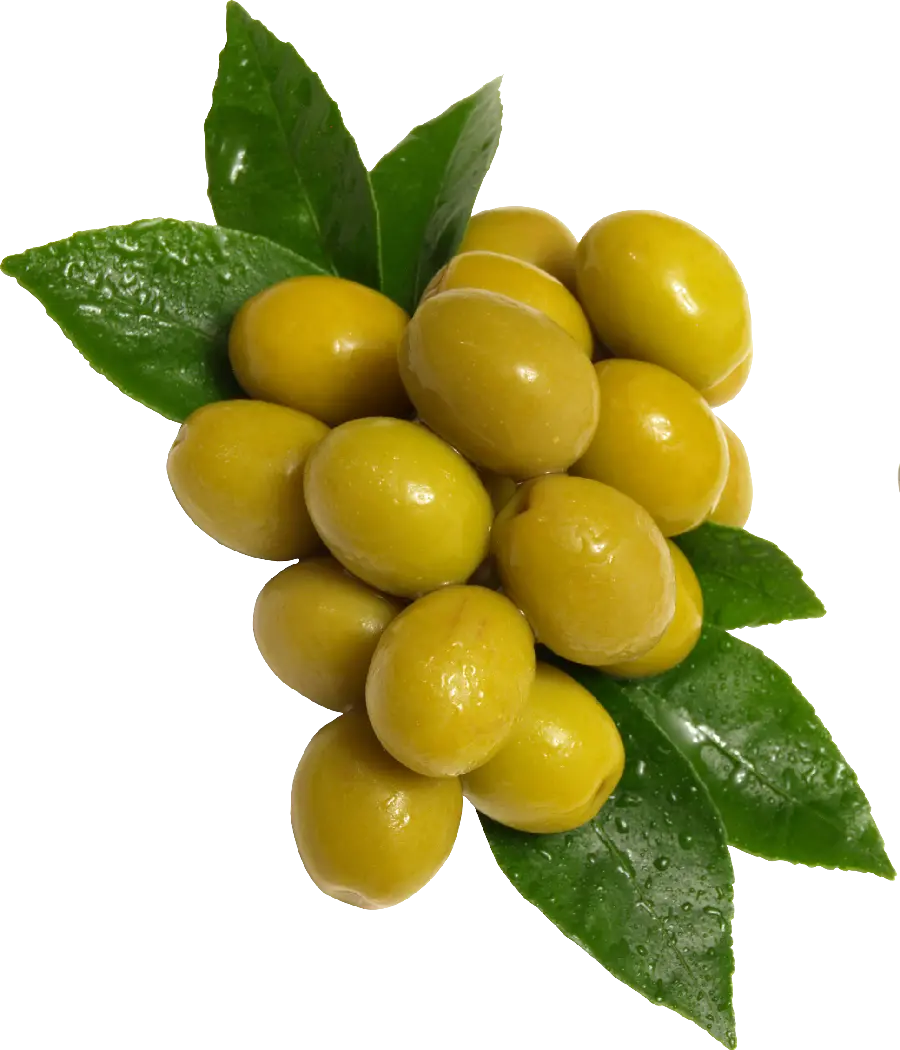 Free Download Olive PNG Cutout